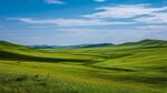 草原風(fēng)光 綠野藍(lán)天繪美景