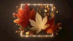 秋意楓葉光影夢(mèng)幻畫(huà)面