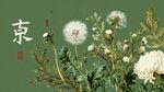 中式風(fēng)蒲公英花卉插畫(huà)