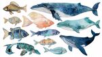 水彩海洋魚(yú)類鯨魚(yú)插畫(huà)集合