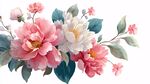 粉色白色花卉優(yōu)雅插畫
