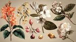 復(fù)古風(fēng)花卉植物插畫素材