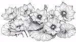 水墨風(fēng)手繪荷花圖案