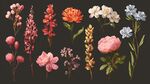 多彩花卉插畫集合