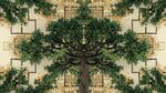 對稱奇幻樹景藝術(shù)畫面