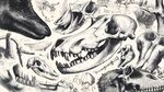 多樣動物頭骨黑白插畫