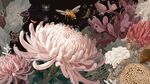 粉色菊花與蜂的夢(mèng)幻圖景