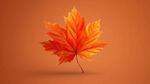 橙紅楓葉獨綻秋之韻
