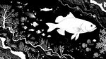 黑白海底世界中的大魚