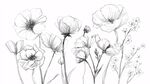 黑白花卉線描插畫