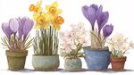 多彩盆栽花卉靜物插畫(huà)