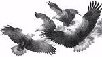 群鷹翱翔圖