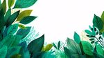 清新綠葉邊框背景插畫