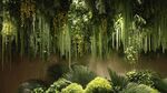 夢(mèng)幻綠植垂掛景觀