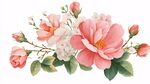 粉色花卉組合插畫(huà)
