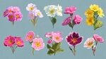 多彩報(bào)春花插畫集合