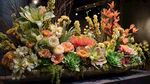 絢麗多彩多肉花卉組合