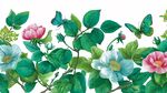 花卉蝴蝶裝飾圖案插畫