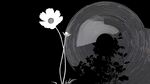 黑白花與唱片的夢(mèng)幻組合