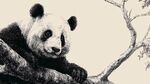 熊貓棲于枝頭黑白畫像