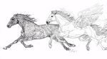 雙馬奔騰 一匹凡馬一匹天馬