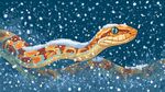 雪中斑斕蛇的獨(dú)特姿態(tài)