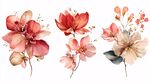 水彩風(fēng)繽紛花卉插畫