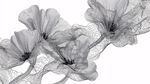 線框風(fēng)格花朵藝術(shù)插畫