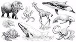 手繪多樣野生動(dòng)物插畫