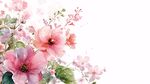 春日爛漫花卉水彩插畫