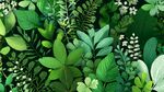 翠綠植物組成的清新背景