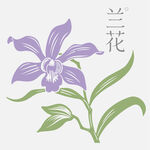 蘭花矢量素材