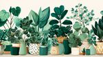 綠植盆栽組合 清新自然風(fēng)
