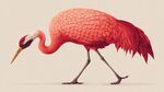 夢幻粉色羽毛的優(yōu)雅鶴鳥