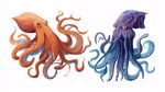 水彩風(fēng)章魚插畫