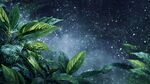 雨夜中的翠綠植物景觀