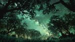 夢幻森林中的璀璨星空