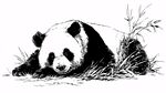 酣睡的熊貓