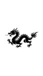 中式傳統(tǒng)黑龍圖案