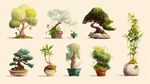 多樣盆栽綠植藝術(shù)展示