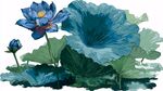藍(lán)調(diào)水墨風(fēng)荷花荷葉圖