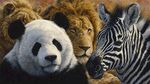熊貓斑馬獅子同框畫面