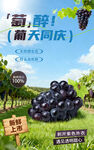 葡萄海報