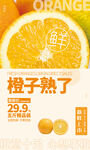 橙子海報(bào)
