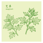 手繪清新艾草中藥材草本植物圖案