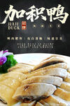 加積鴨 