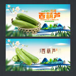 西葫蘆海報(bào)