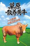 黃牛海報(bào)