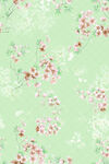 淡綠底粉色花卉圖案背景
