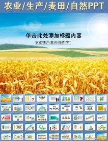農(nóng)業(yè)生產(chǎn)麥田自然PPT
